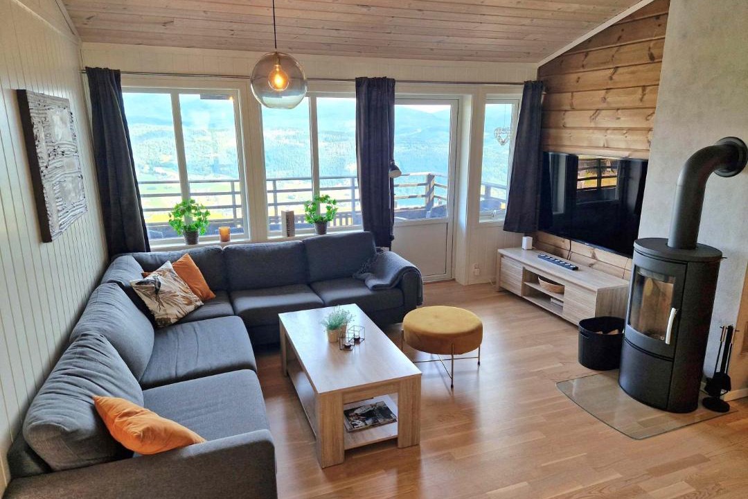 Photo of Livingroom in Skulestad
