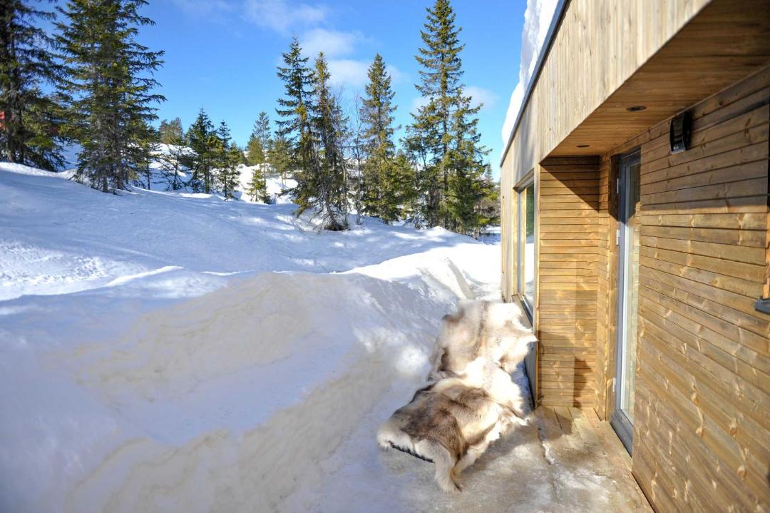 Photo of Others in Trysil