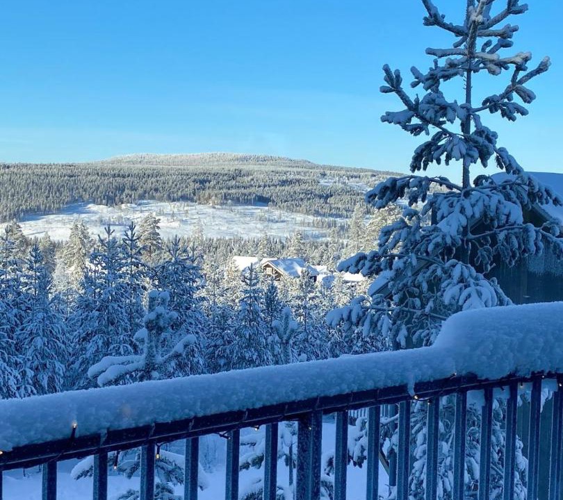 Photo of Others in Vemdalen