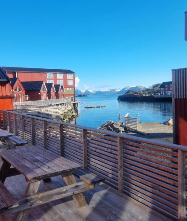 Photo of Others in Stamsund