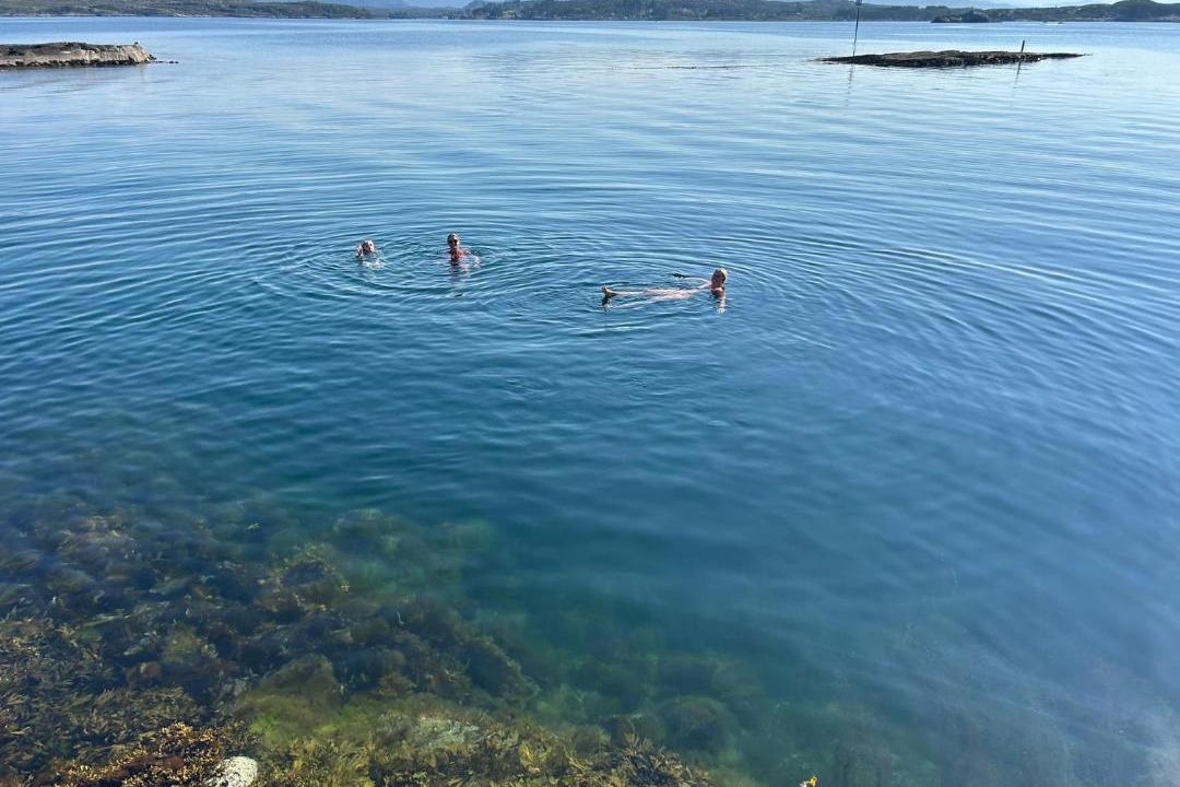 Photo of Others in Averoy Municipality