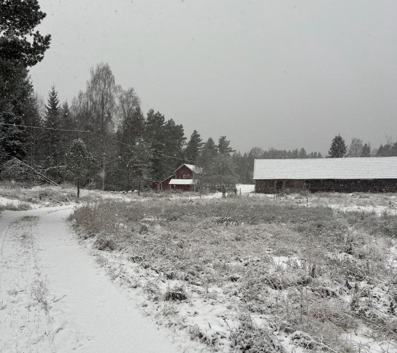 Photo of Others in Lillkyrka