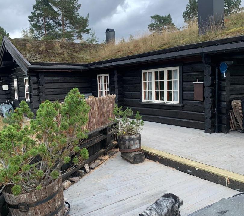 Photo of Others in Nissedal