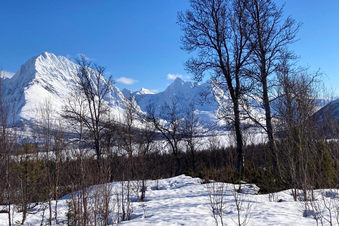Photo of Others in Lyngen