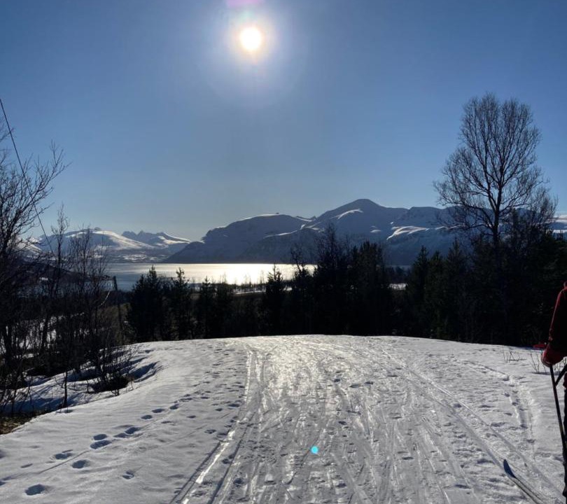 Photo of Others in Lyngen