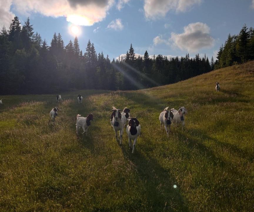 Photo of Others in Dalen