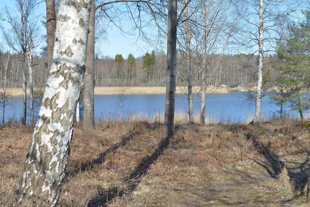 Photo of Others in Eskilstuna Municipality