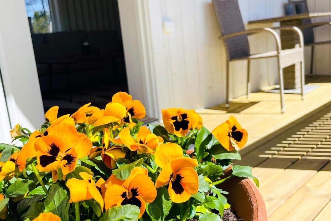 Photo of Patio Balcony in Bodafors