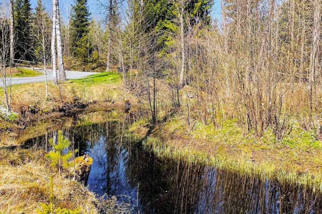 Photo of Others in Bodafors