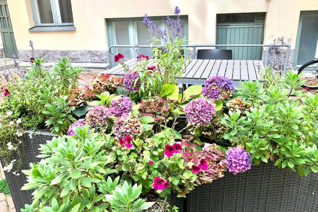 Photo of Others in Punavuori