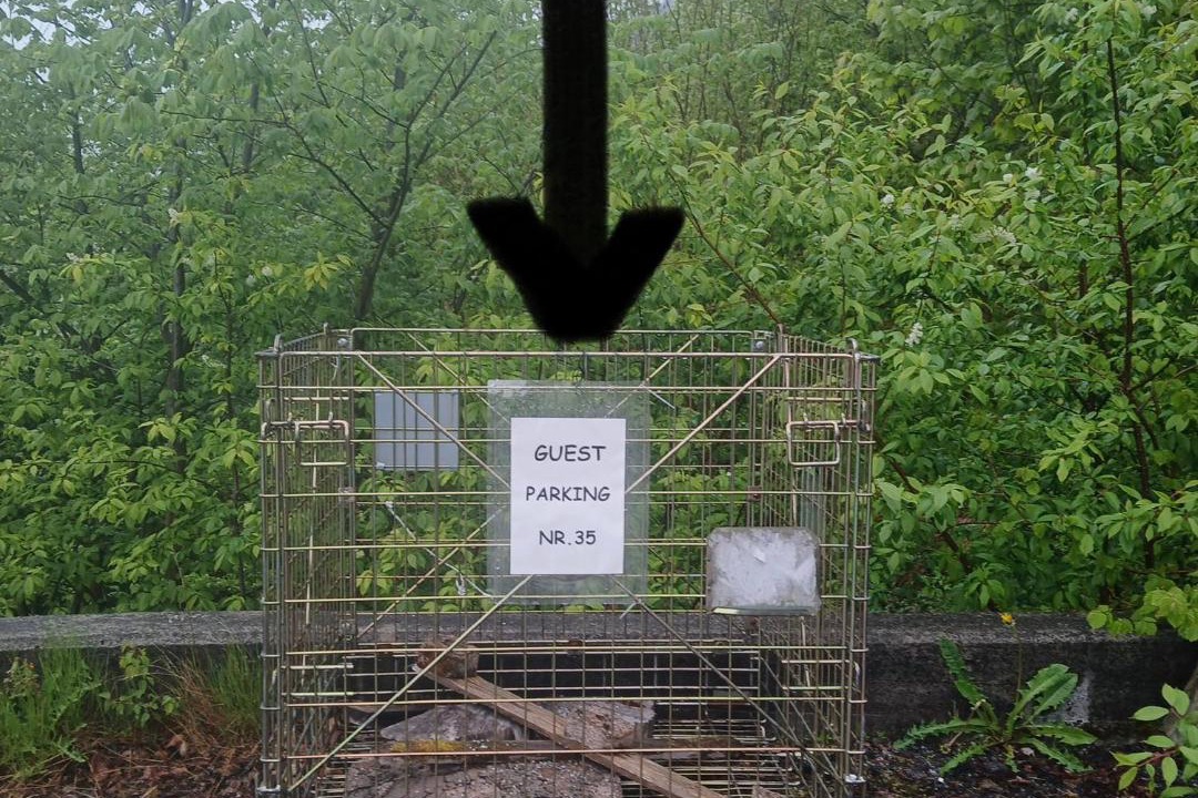 Photo of Others in Ullensvang