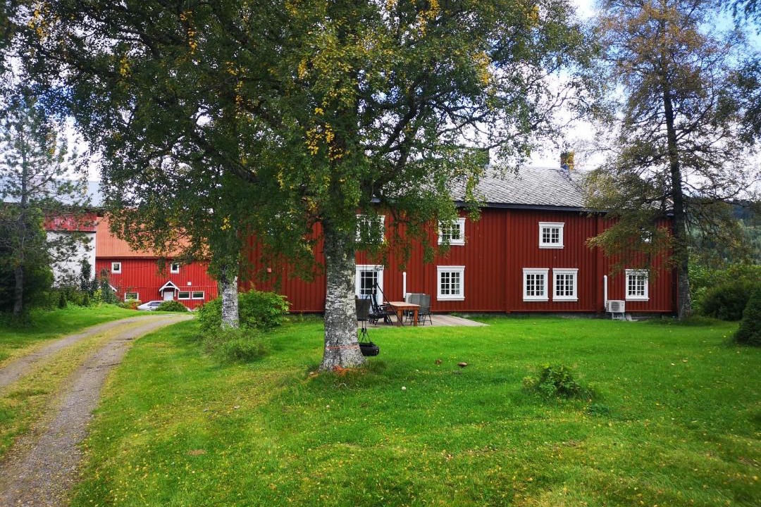 Photo of Others in Steinkjer