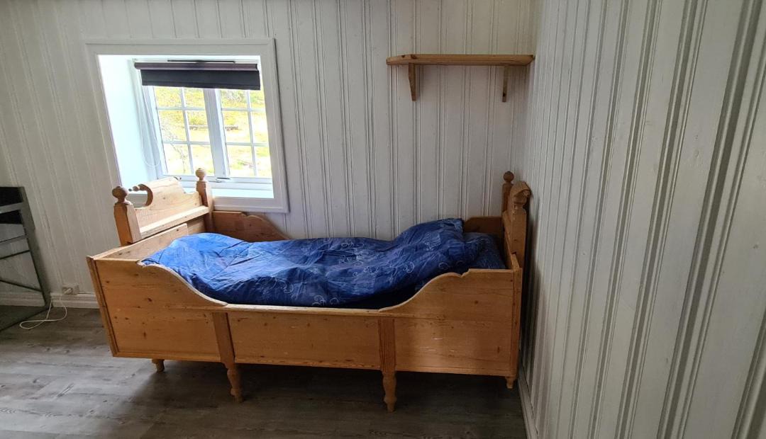 Photo of Others in Steinkjer