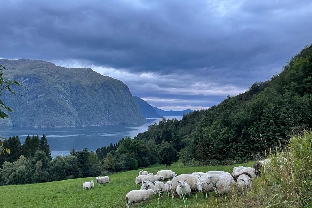 Photo of Others in Stordal