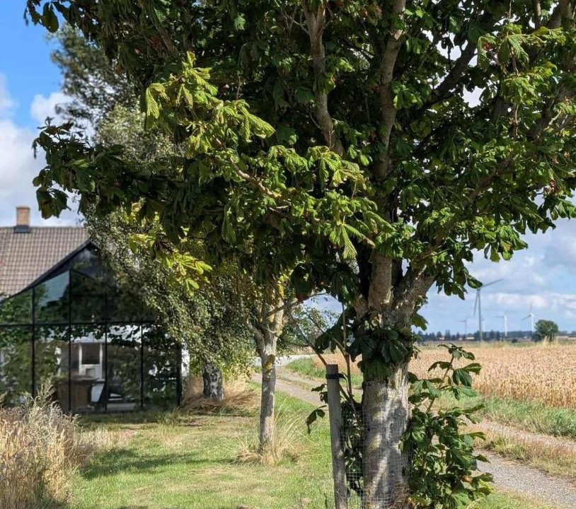 Photo of Others in Hammenhog