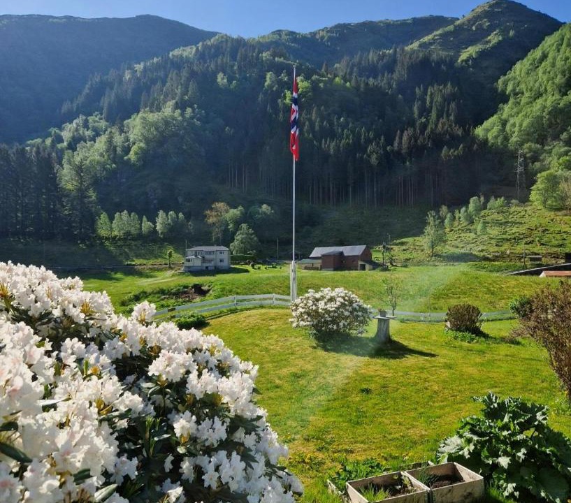 Photo of Others in Arna