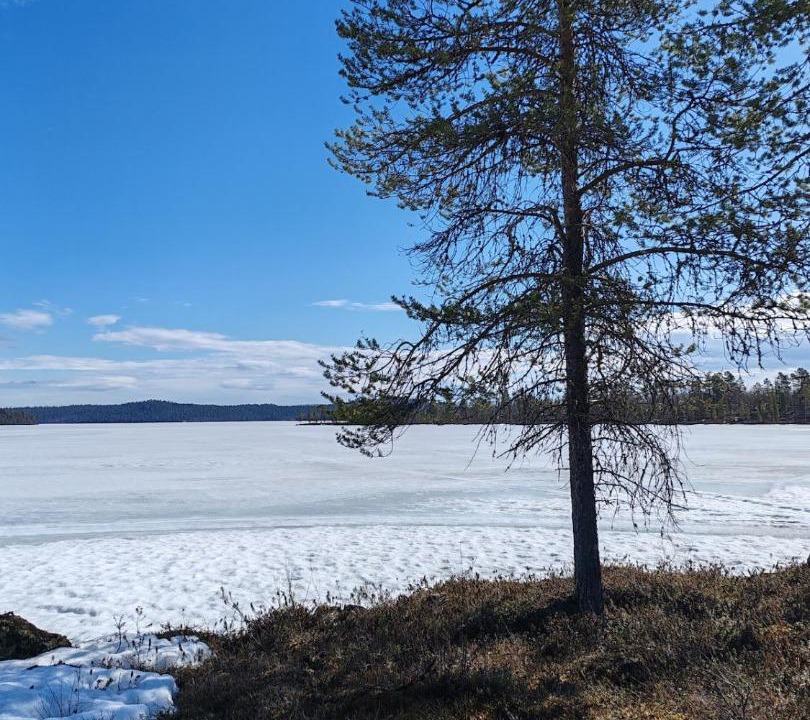 Photo of Others in Inari