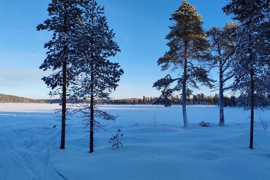 Photo of Others in Inari