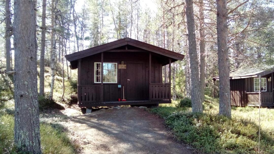 Photo of Others in Grondalen