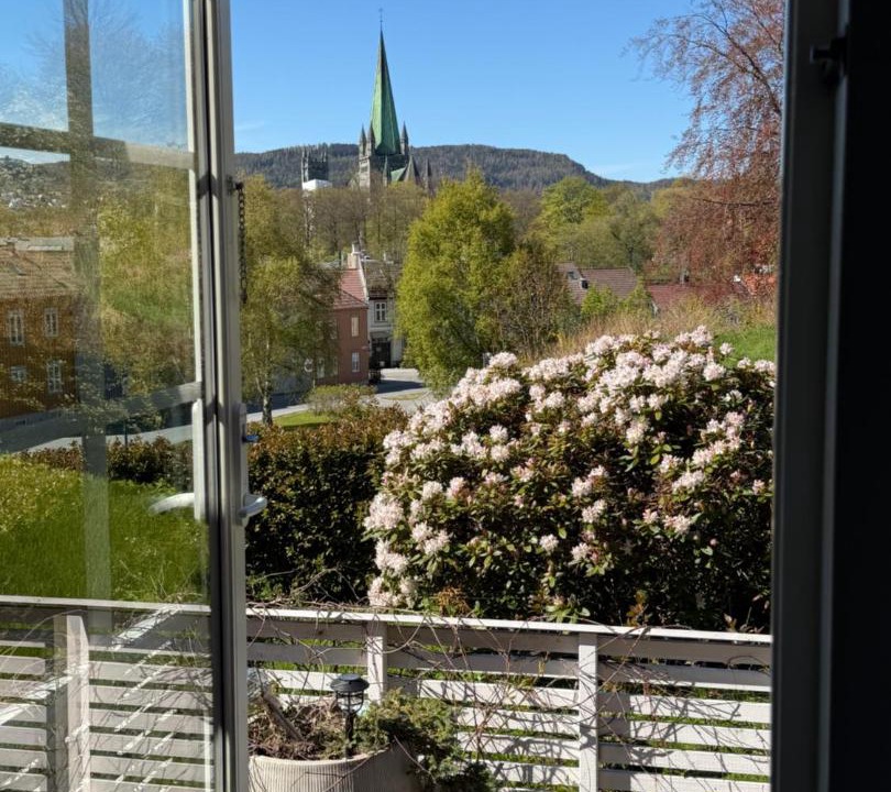 Photo of Others in Trondheim
