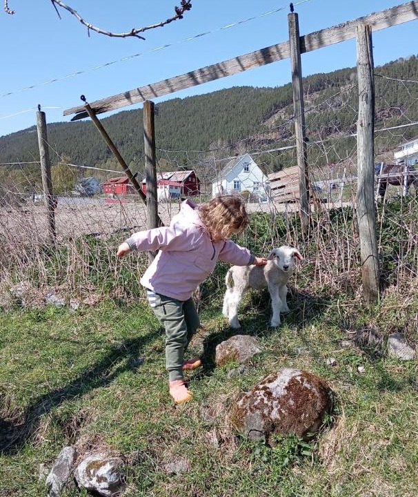 Photo of Others in Sogndal