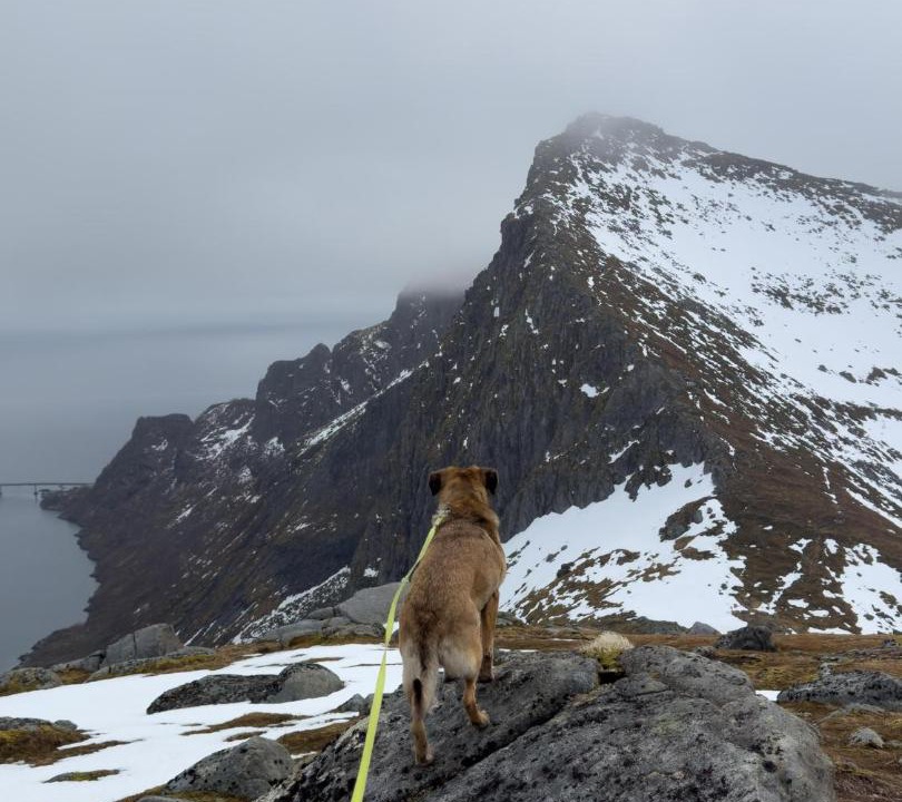 Photo of Others in Sørvagen