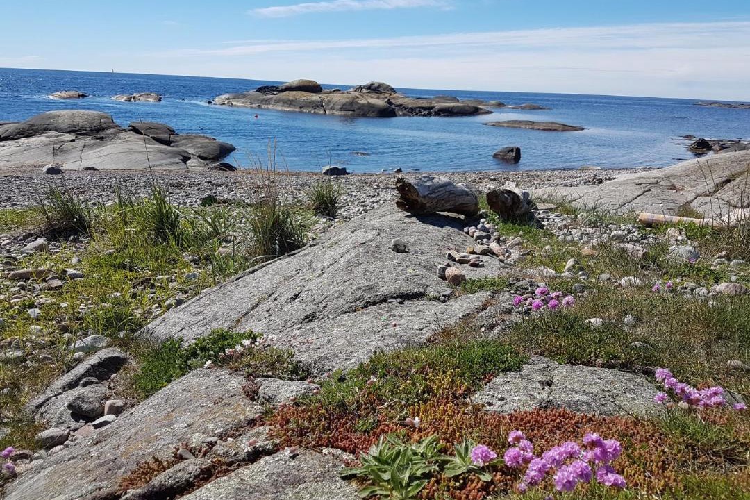 Photo of Others in Larvik