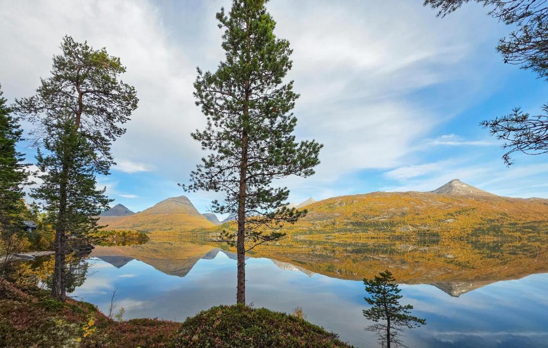 Photo of Others in Balsfjord