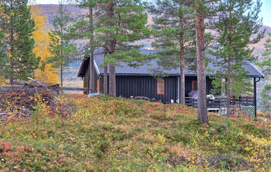Photo of Others in Balsfjord
