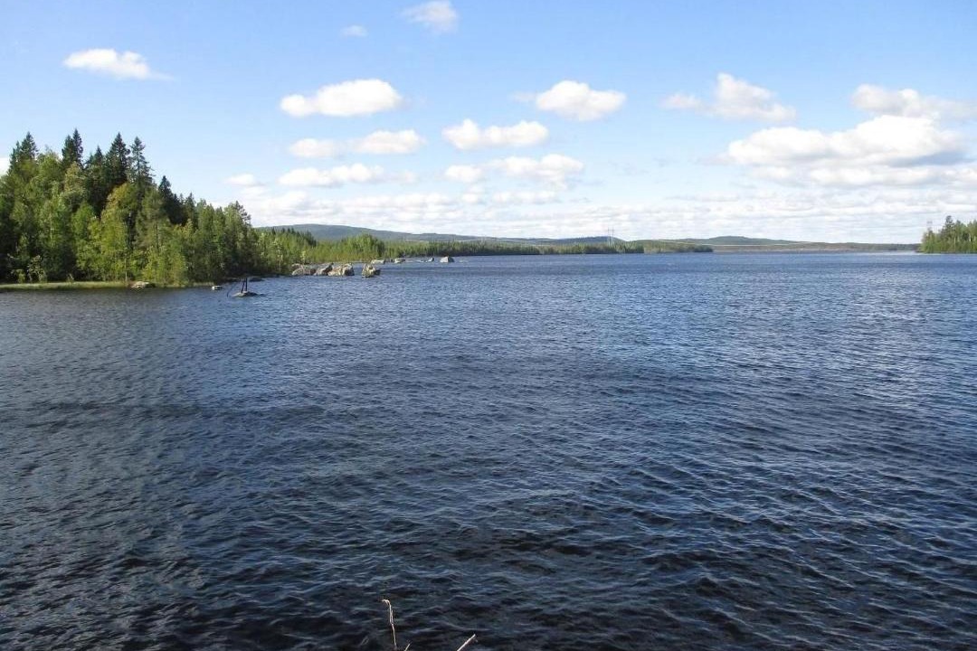 Photo of Others in Ytterhogdal