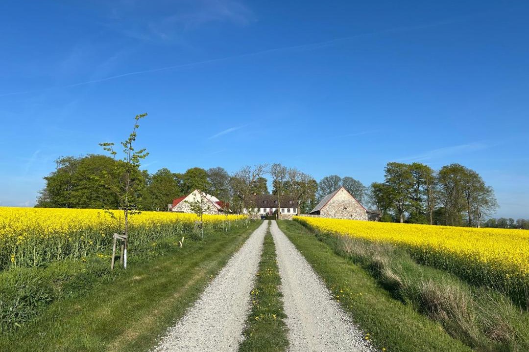 Photo of Others in Flyinge