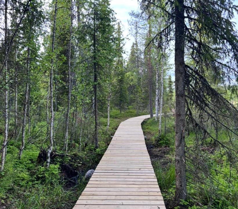 Photo of Others in Lampivaara