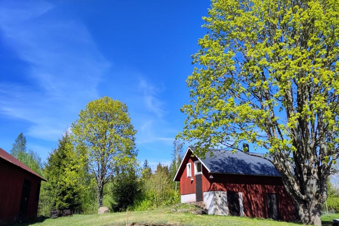 Photo of Others in Molkom