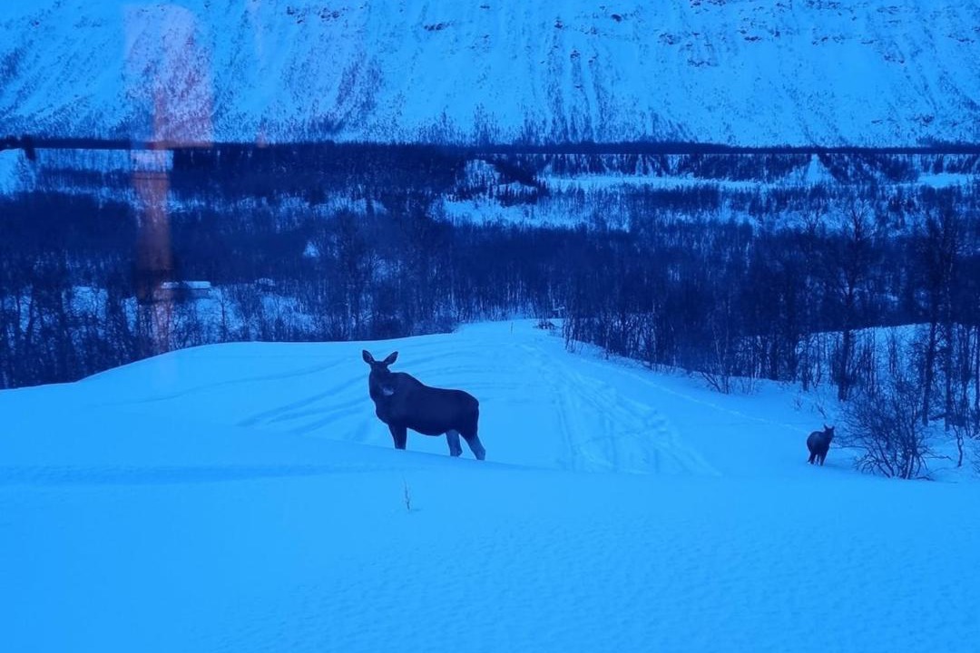 Photo of Others in Tromso