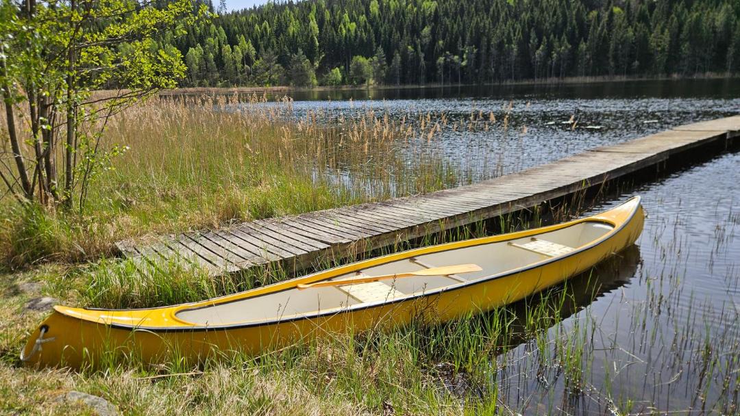 Photo of Others in Svanskog
