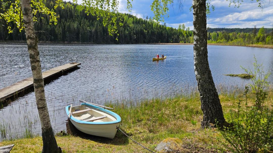 Photo of Others in Svanskog