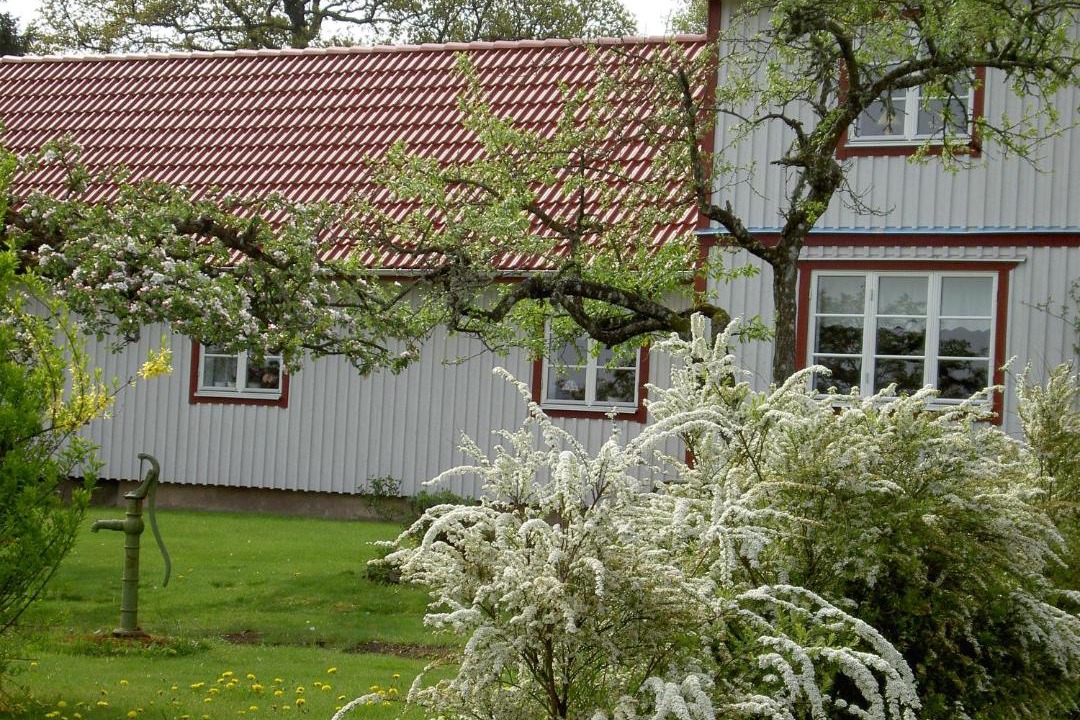 Photo of Others in Holm