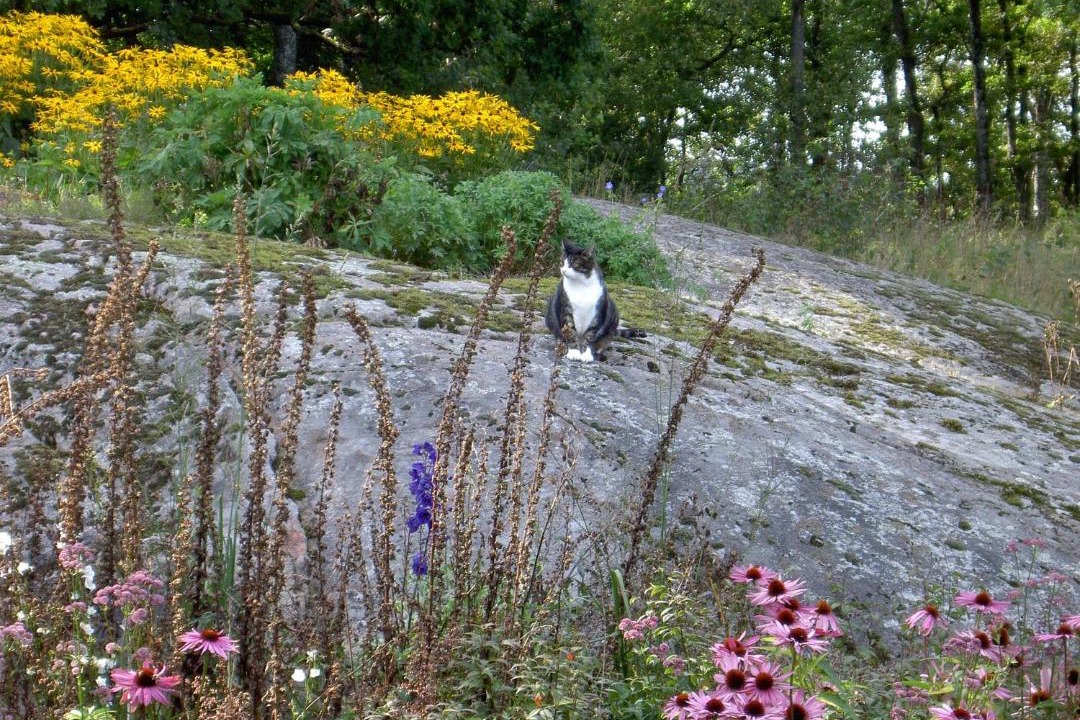 Photo of Others in Holm