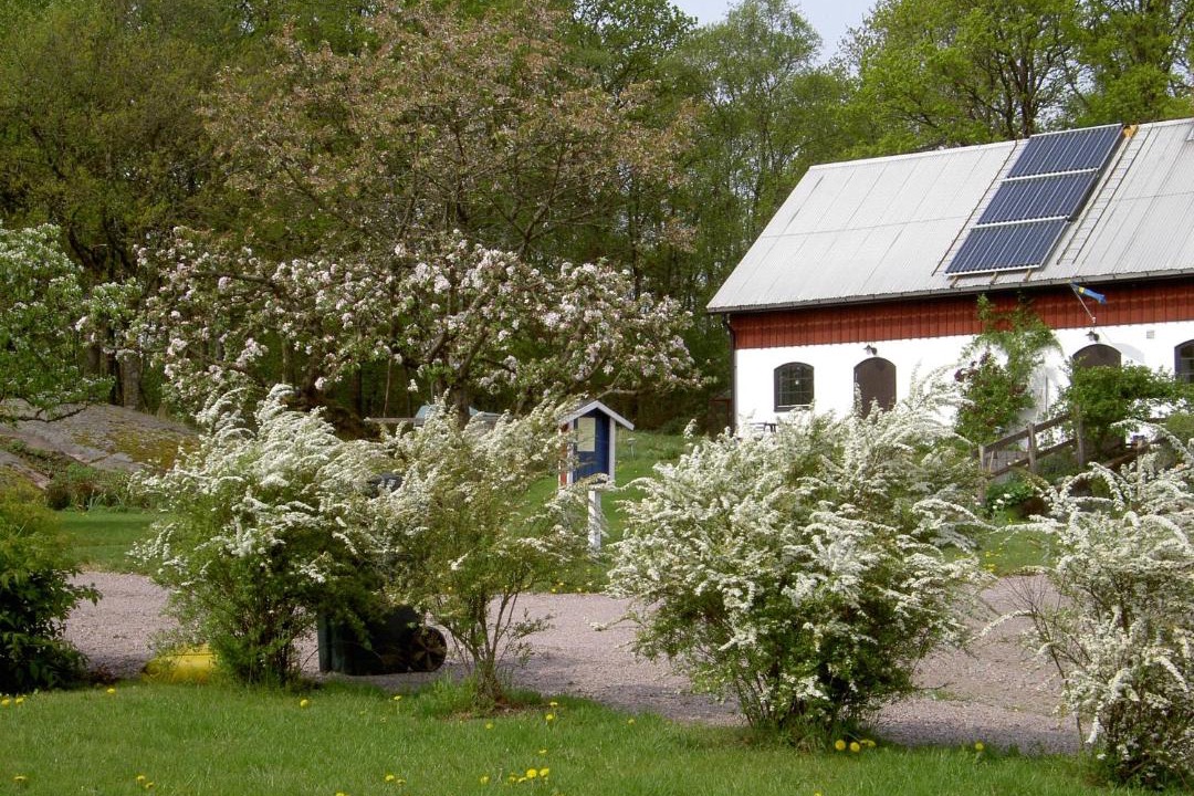 Photo of Others in Holm