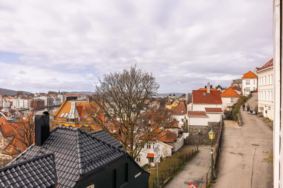 Photo of Others in Bergen City Centre