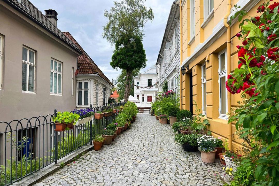 Photo of Others in Bergen City Centre