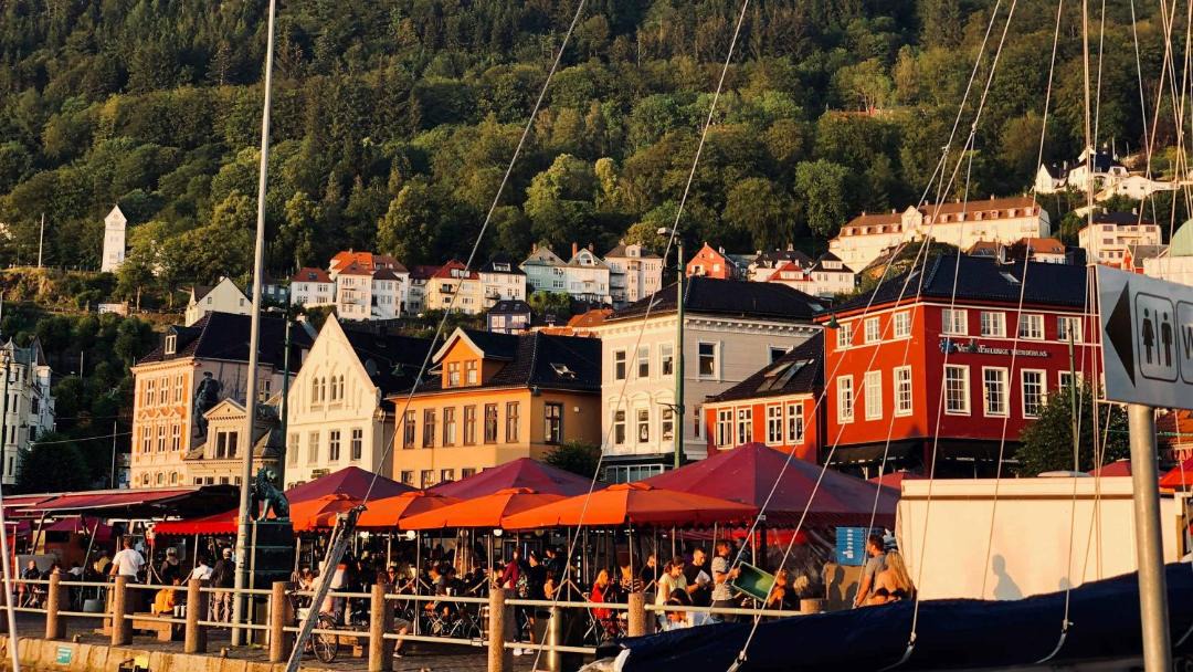 Photo of Others in Bergen City Centre