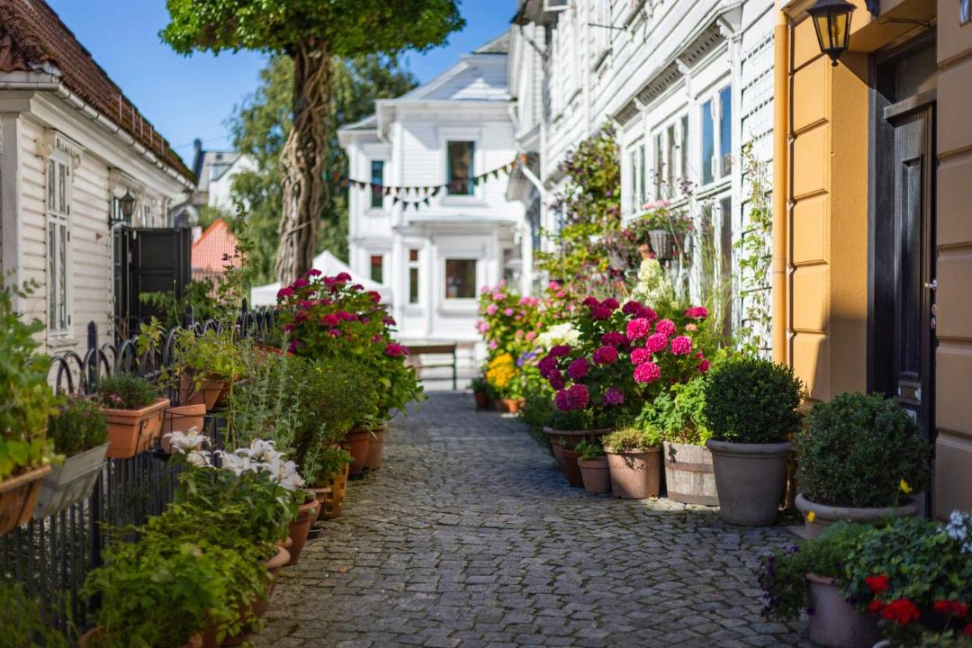 Photo of Others in Bergen City Centre