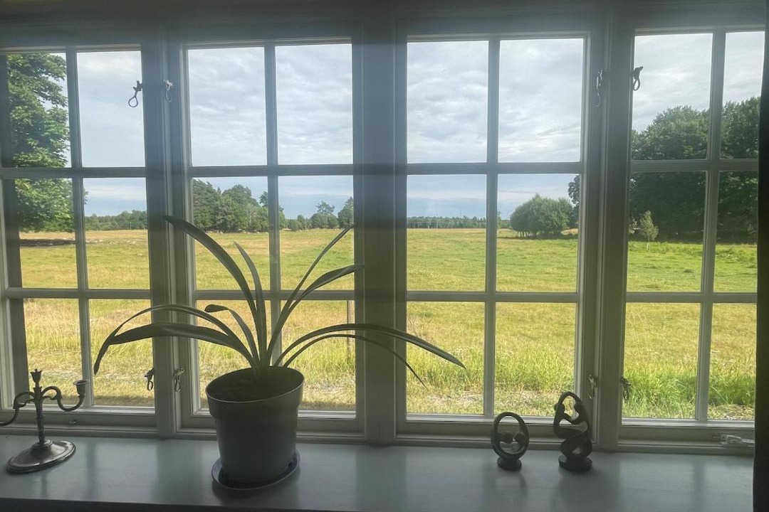 Photo of Others in Hargshamn