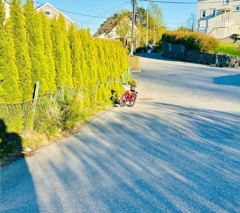 Photo of Others in Kristiansand