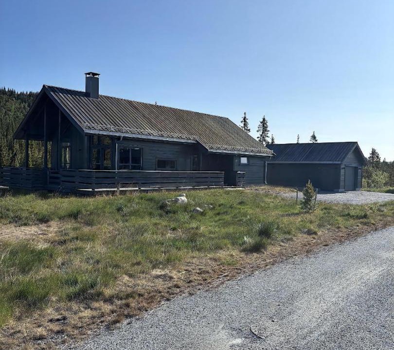 Photo of Others in Hemsedal