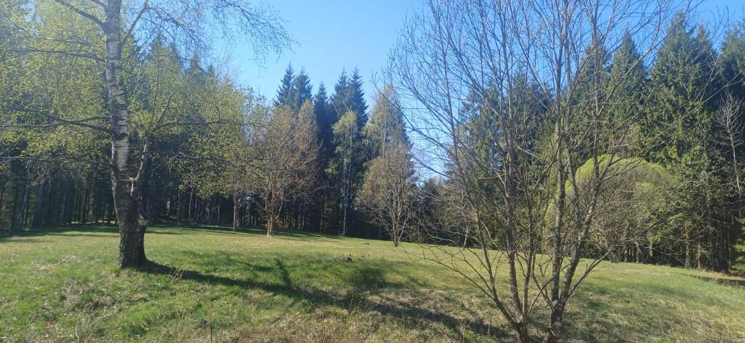 Photo of Outdoor in Orkelljunga Municipality