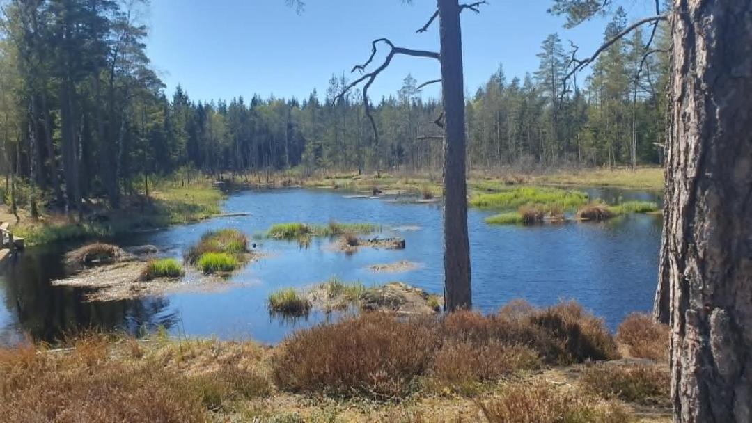 Photo of Others in Hyltebruk