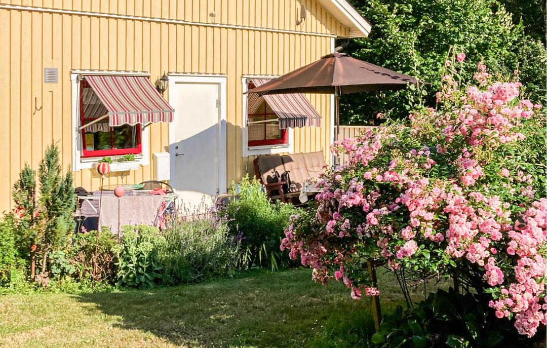Photo of Others in Farjestaden