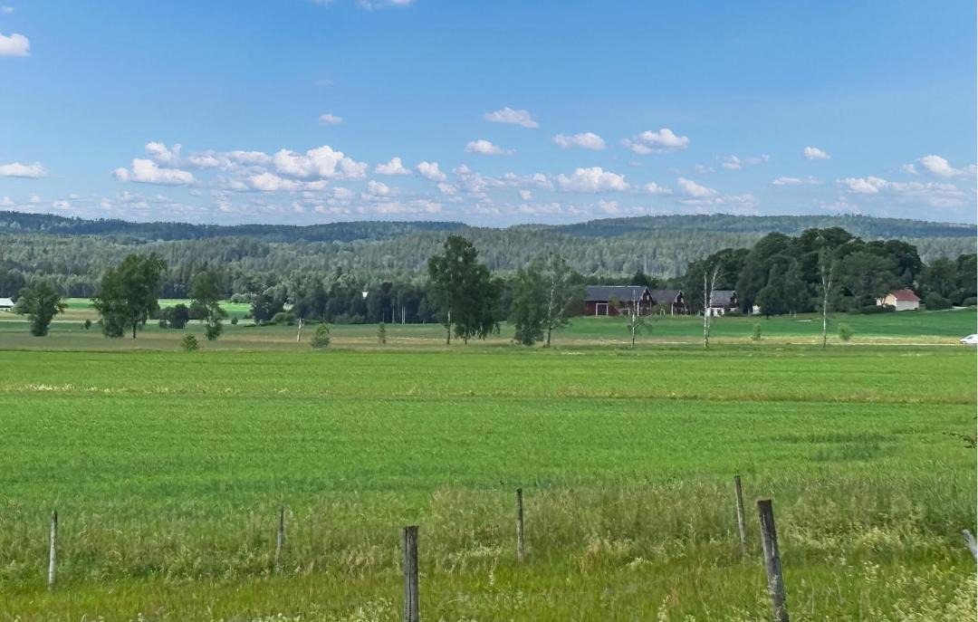 Photo of Others in Orebro